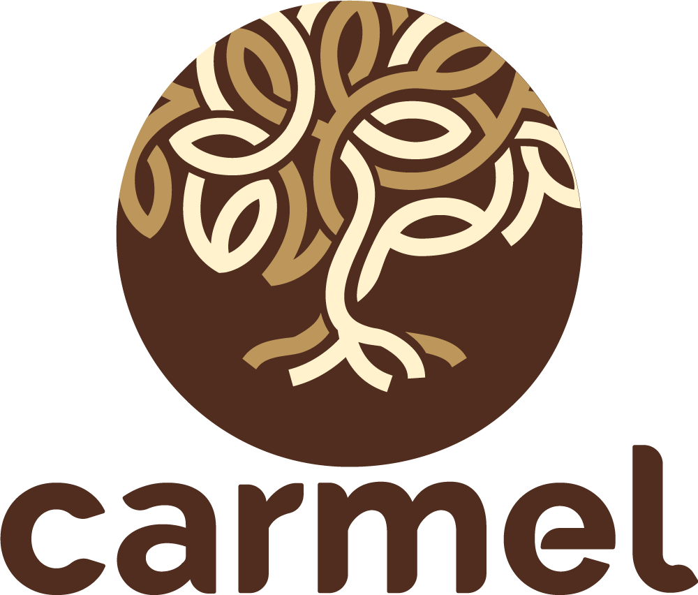 Logo3 Carmel aplicacoes